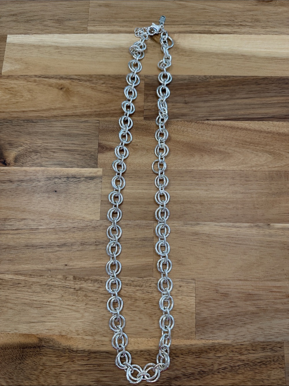 Jennifer Lopez Shiny Silver Double-Ring Chain Necklace
